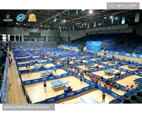 全国锦标赛回顾:北京乒乓球队技术水平的全面分析与展望