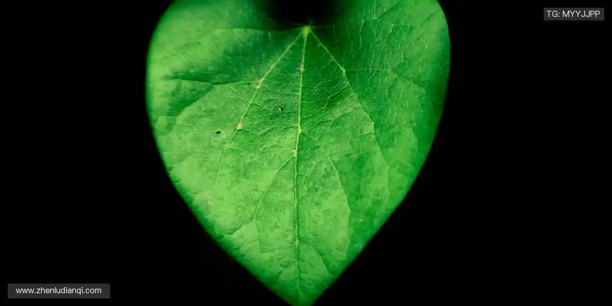 📺 高清直播，每一秒都让你心跳加速！🔥